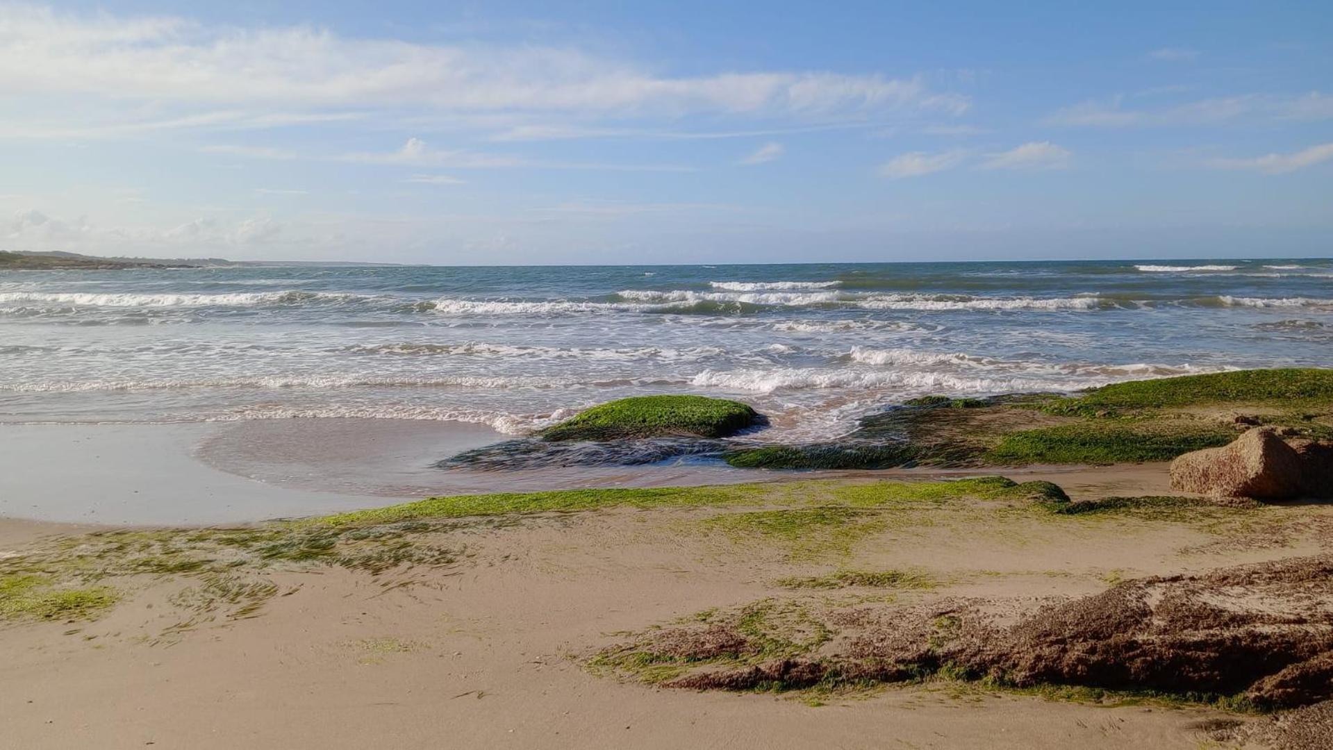 Posada Mar Azul Con Jacuzzi Bed & Breakfast Punta Del Diablo Exterior photo